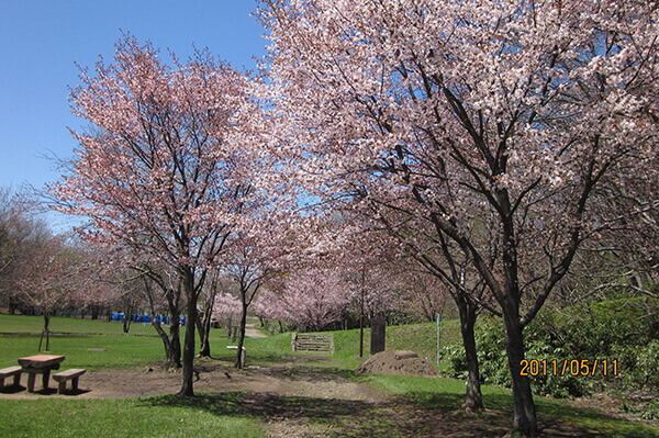 大麻西公園