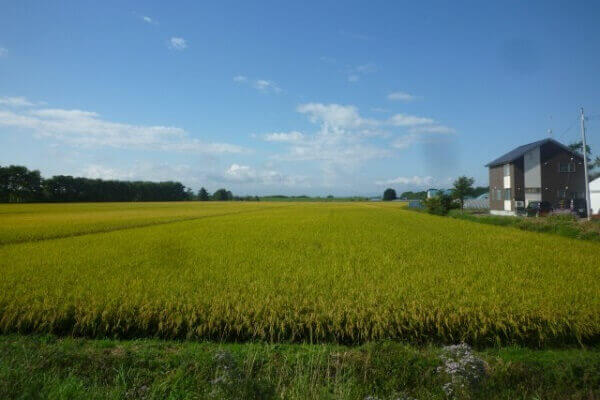 田園風景