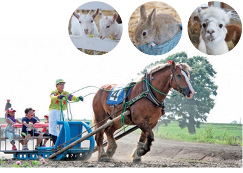 アースドリーム角山農場