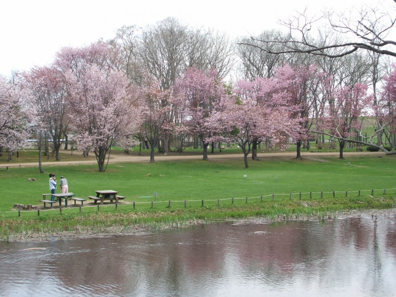 泉の沼公園