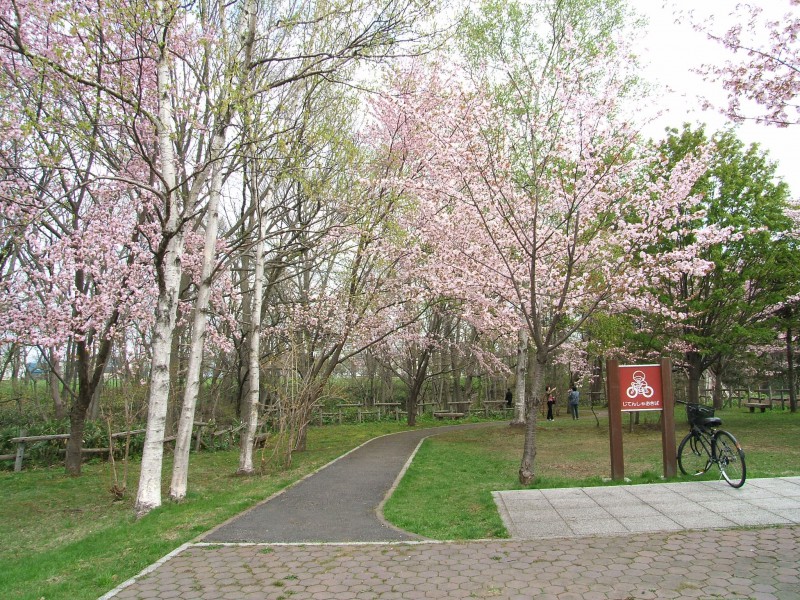 湯川公園