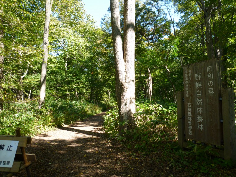 昭和の森 野幌森林自然休養林（登満別口）