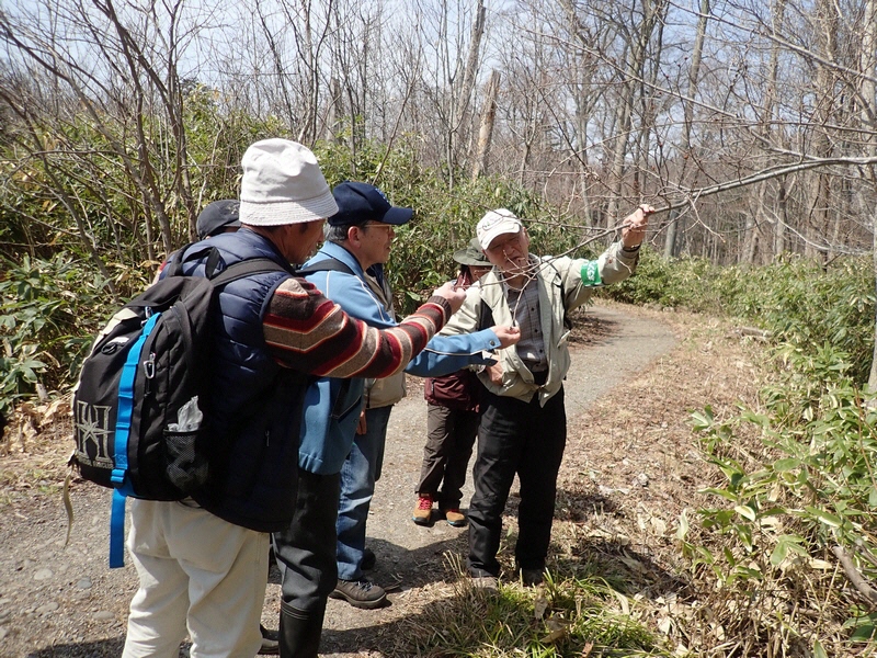 自然観察会「春の花を見つけよう」
