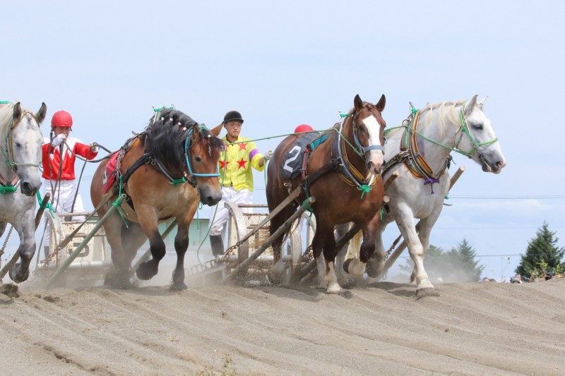 江別 ばん馬大会