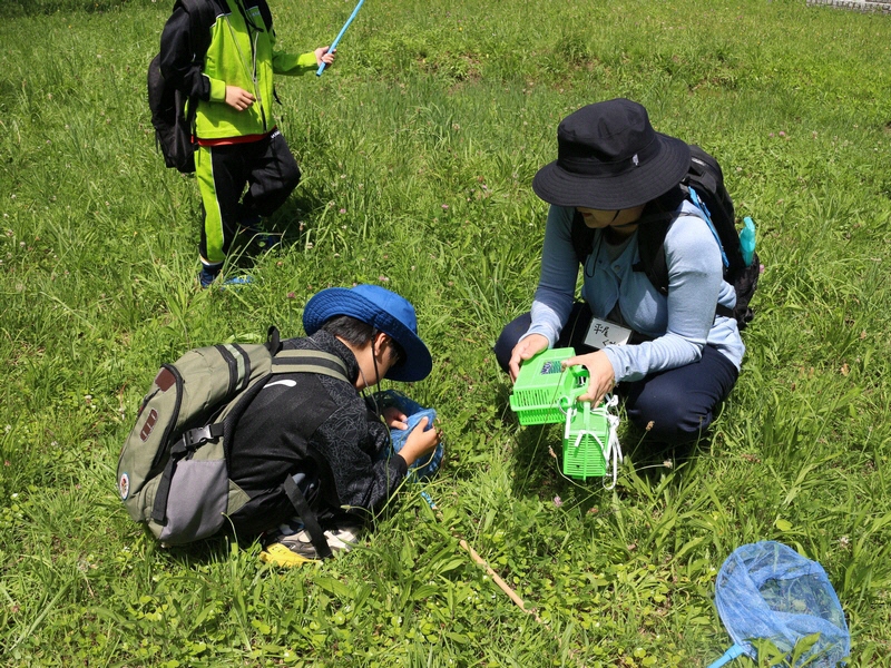 親子観察会「めざせ!むし博士 はじめての虫さがし」