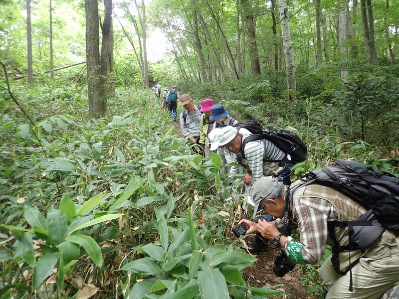 自然観察会 「夏の森の観察会」