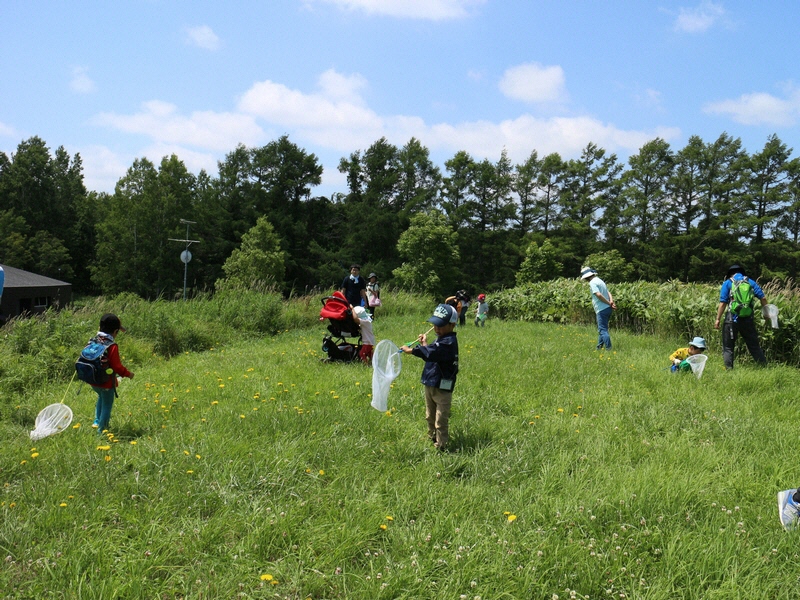 もりをたんけん!あそぼう!「トンボ・バッタを見つけよう②」