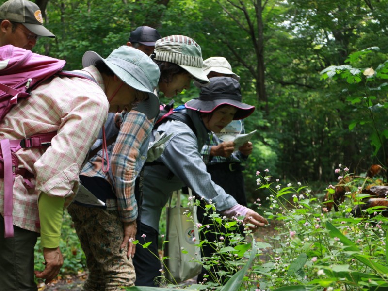 自然観察会「秋の森の匂いをかごう」