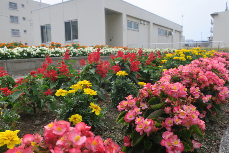 花のある街並みづくり写真展