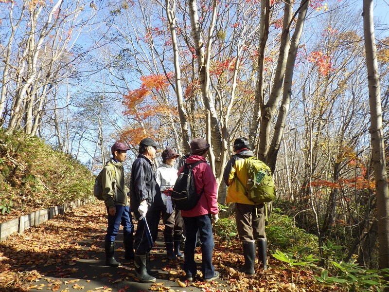 自然観察会「秋のありがとう観察会」