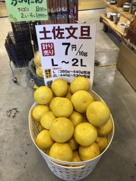 土佐物産フェア