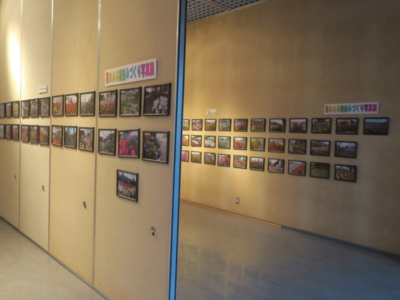花のある街並みづくり写真展≪市民会館での開催は中止≫