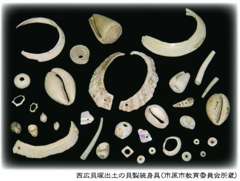 旅する考古学6 『幻の貝「オオツタノハ」を追う!-縄文から古墳時代まで6,000年間、日本列島の人びとを魅了した貝輪素材-』