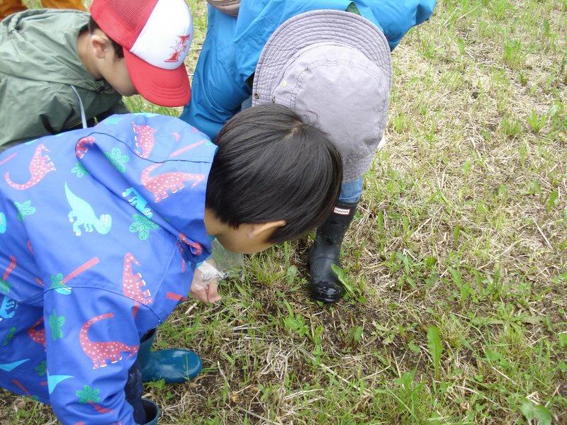 親子観察会 「落ち葉の下の生き物をさがそう」 〈中止〉