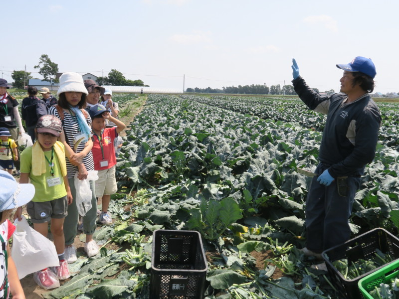 江別野菜満喫体験バスツアー
