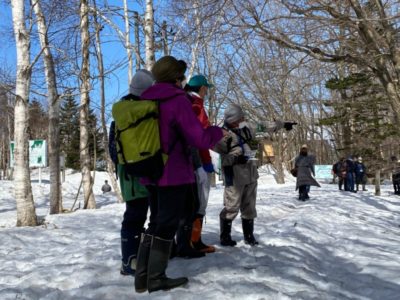 観察会「森の中で春をさがそう」