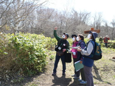 観察会「春の花を見つけよう」