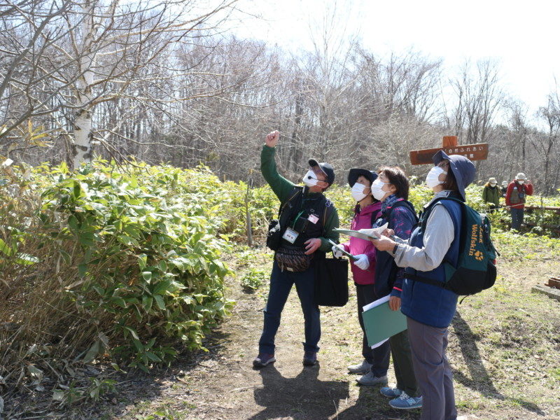 観察会「春の花を見つけよう」