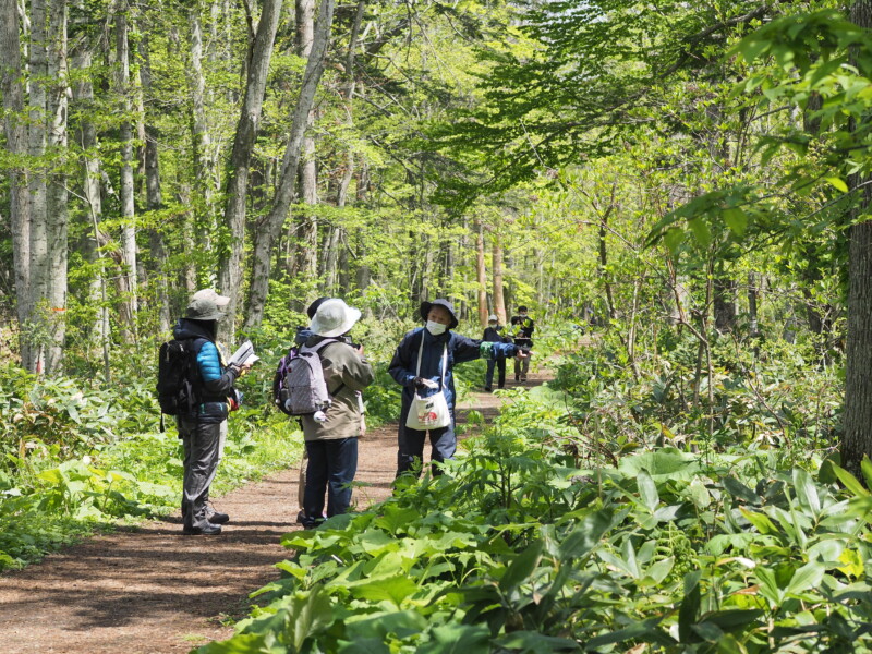 観察会「春のありがとう観察会」