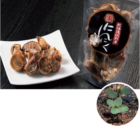 （株）フラワーテクニカえべつ