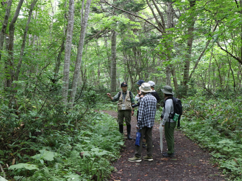 観察会「夏の森の観察会」