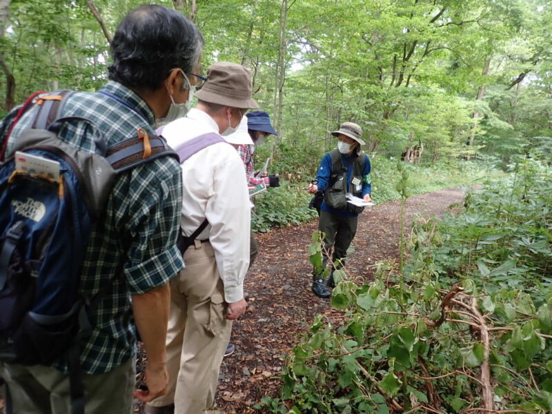 観察会「秋の花でにぎわう森を歩こう」