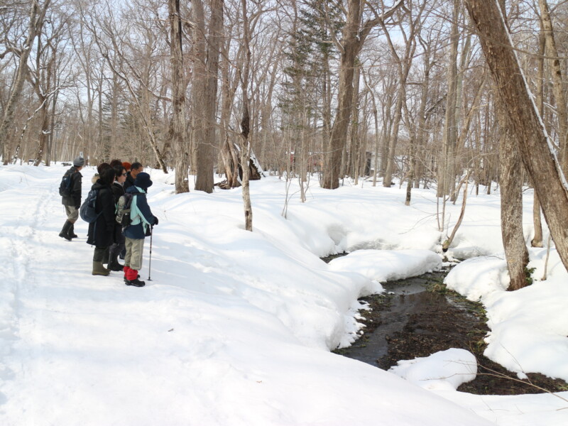 観察会「森の中で春をさがそう」