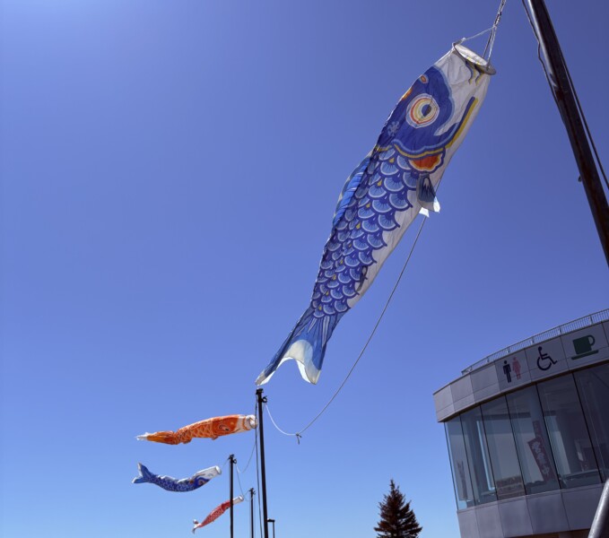 第23回 こいのぼりフェスティバル