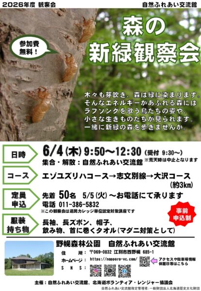 観察会「森の新緑観察会」