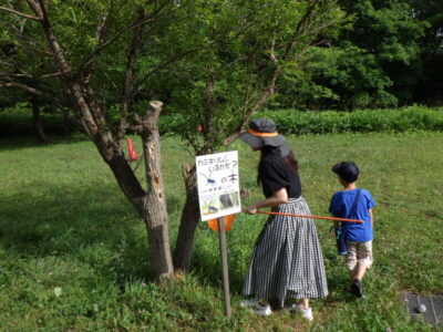 体験型展示「わくわく！いきもの夏まつり」