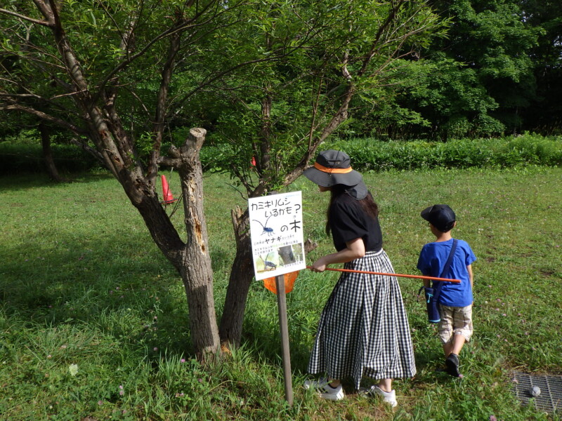 体験型展示「わくわく！いきもの夏まつり」